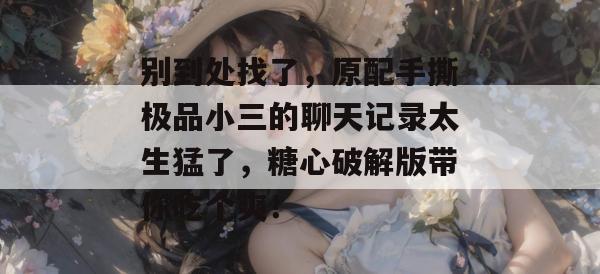 别到处找了，原配手撕极品小三的聊天记录太生猛了，糖心破解版带你吃个爽！